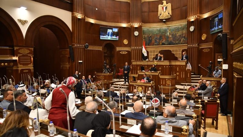 بعد التحرش في حفلات الساحل، مطالب برلمانية بميثاق شرف لمواجهة الظواهر السلبية على السوشيال