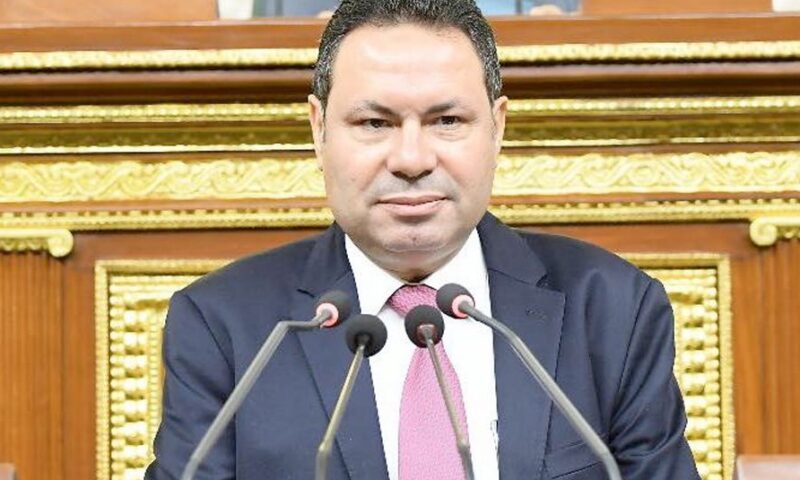 برلماني: سد «جوليوس نيريري» يجسد طفرة العلاقات المصرية الإفريقية