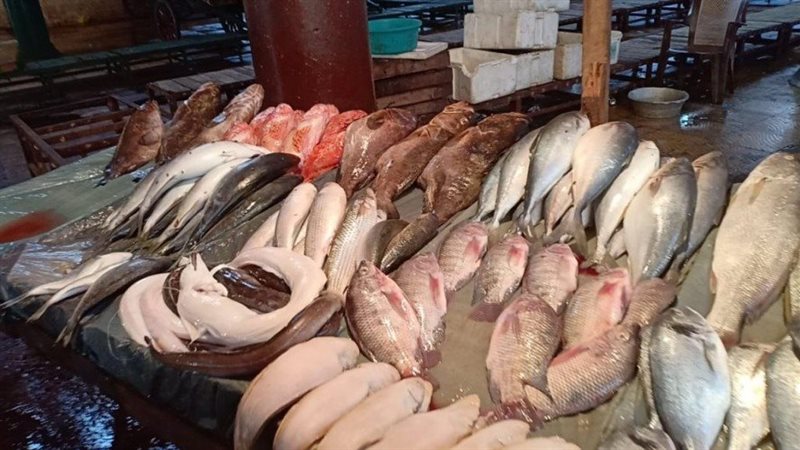 أسعار السمك اليوم، انخفاض الجمبري وارتفاع البلطي والكابوريا والبوري
