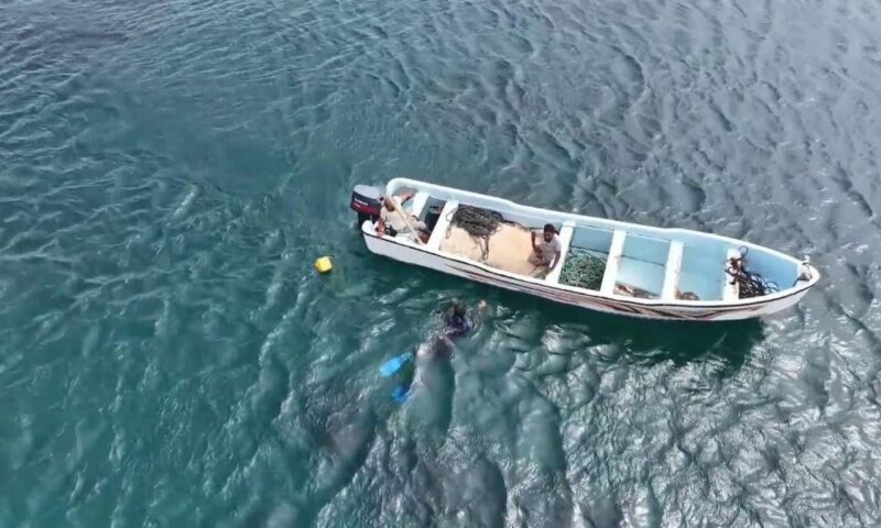 مصدر عسكري يمني: القوات البحرية اشتبكت مع تشكيلة زوارق حوثية