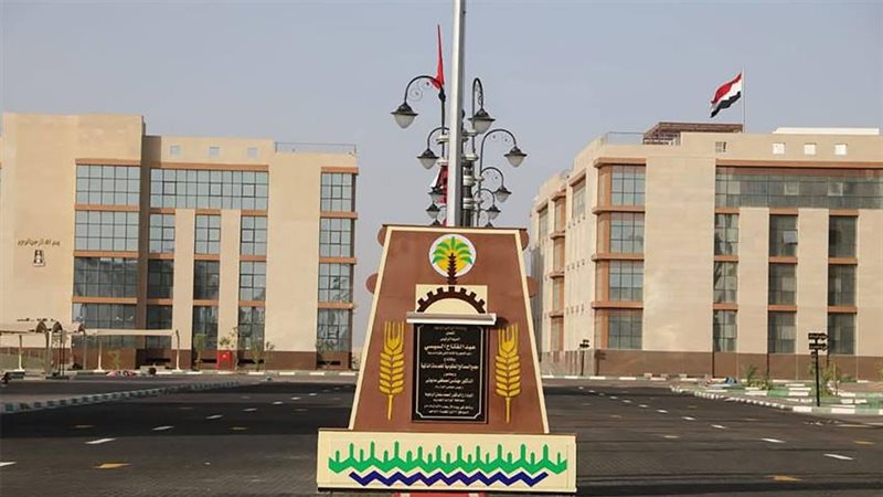 64 فرصة عمل للشباب بالوادي الجديد في القطاع الزراعي