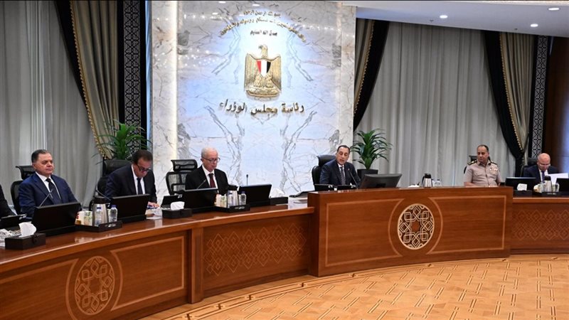 ماجستير وصيدلة وطب أسنان، قرارات جديدة لتوسيع برامج الجامعات الأجنبية في مصر