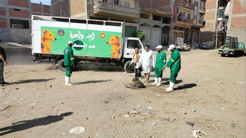 محافظ الدقهلية يكلف الطب البيطري بحملة مكثفة لمواجهة الكلاب الضالة في طلخا