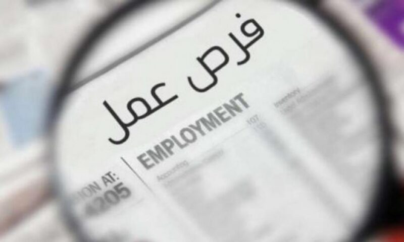 توفير 3032 فرصة عمل جديدة بـ 56 شركة في 9 محافظات