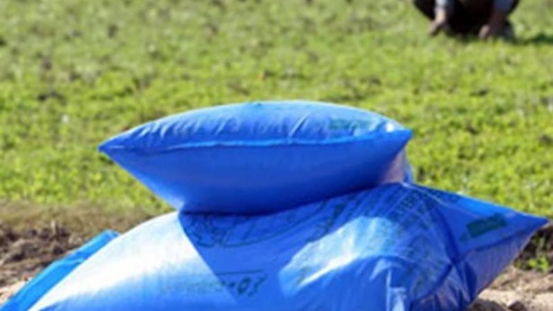 4 شكاير للقمح و5 للذرة، كيف تحدد الدولة نصيب الفدان من السماد المدعم؟