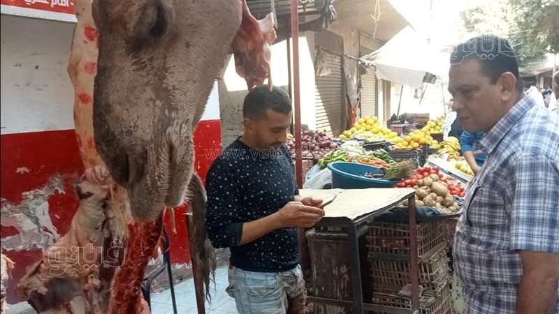 بيطري أسيوط يضبط نصف طن لحوم وأسماك غير صالحة للاستهلاك الآدمي