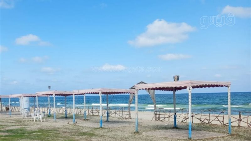 بعد مصرع سيدة في مشاجرة.. غلق شاطئ كناري بالعجمي وبدء إجراءات فسخ التعاقد
