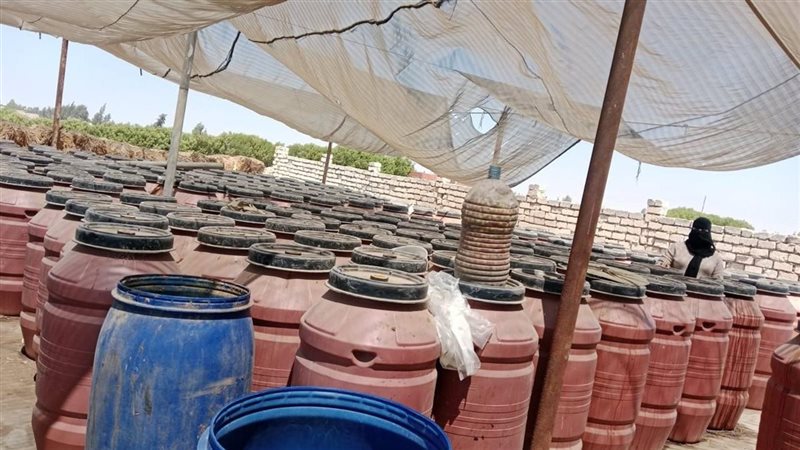 ضبط 30 طن مخللات مجهولة المصدر خلال حملة تموينية بالإسماعيلية (صور)