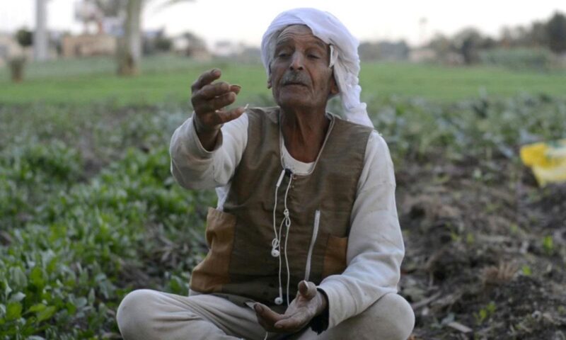 اقتراحات برلمانية لدعم الفلاح وخفض تكاليف الإنتاج وتسويق المحاصيل الزراعية