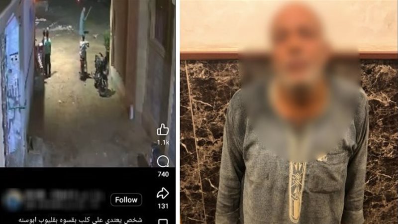 من سرقة “تابلت” إلى الاعتداء على كلب، الداخلية تكشف ملابسات وقائع متداولة