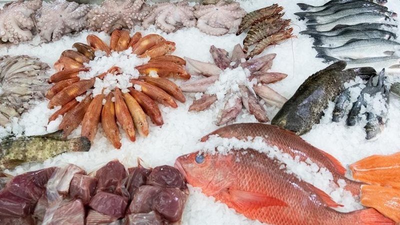 أسعار السمك اليوم، البلطي يعاود “جنونه” وقفزة في البوري والكابوريا وانخفاض الجمبري 80 جنيها
