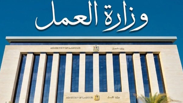 برواتب تصل لـ 15 ألف جنيه.. “العمل” تعلن عن 300 فرصة وظيفة لسائقي الرخصة الأولى