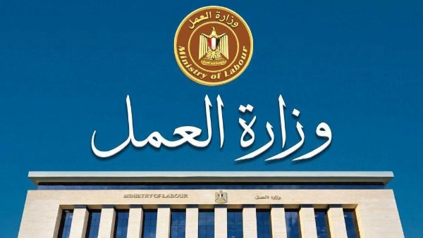 100 فرصة عمل للفتيات بالجيزة.. أرقام وروابط وعناوين للتقديم