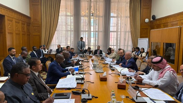 الجنابي: الثقافة والتعاون السياسي والاقتصادي ركائز الشراكة العربية الإفريقية