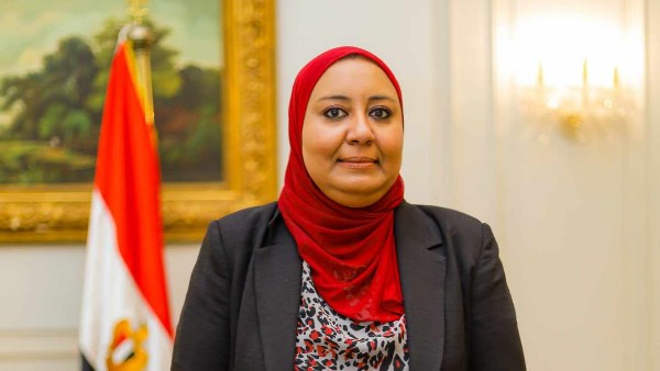 حقوقك أولا .. نقابة البيطريين تنظم ورشة عن الحماية المهنية والتأمين للأطباء