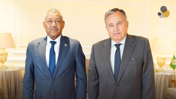 الأوضاع الإنسانية والصحية في السودان تتصدر لقاء نبيل فهمي وعدوي