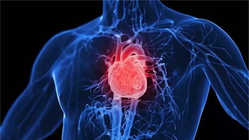 10 نصائح تساعد في الحفاظ على صحة القلب