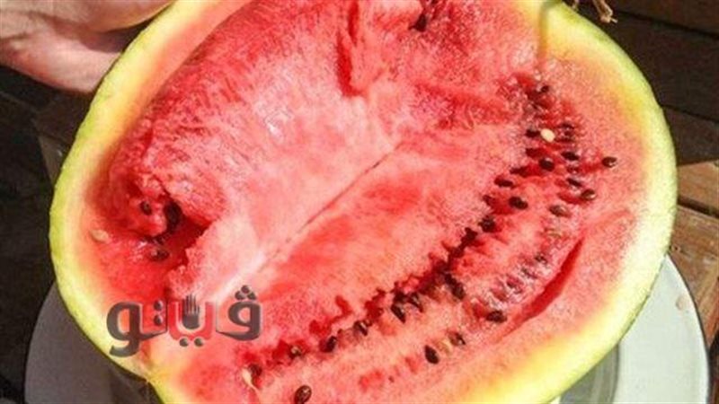 نقيب الفلاحين: «البطيخ السنة دي ميتاكلش والموسم انضرب» وتقاوي جديدة تحت المجهر