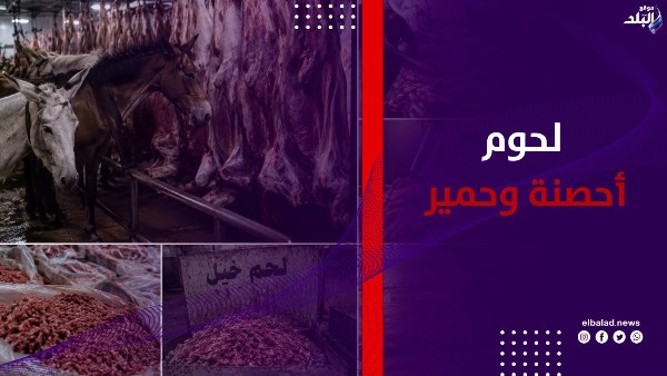 خيول وحمير .. كارثة بلحوم مصنعة في تركيا