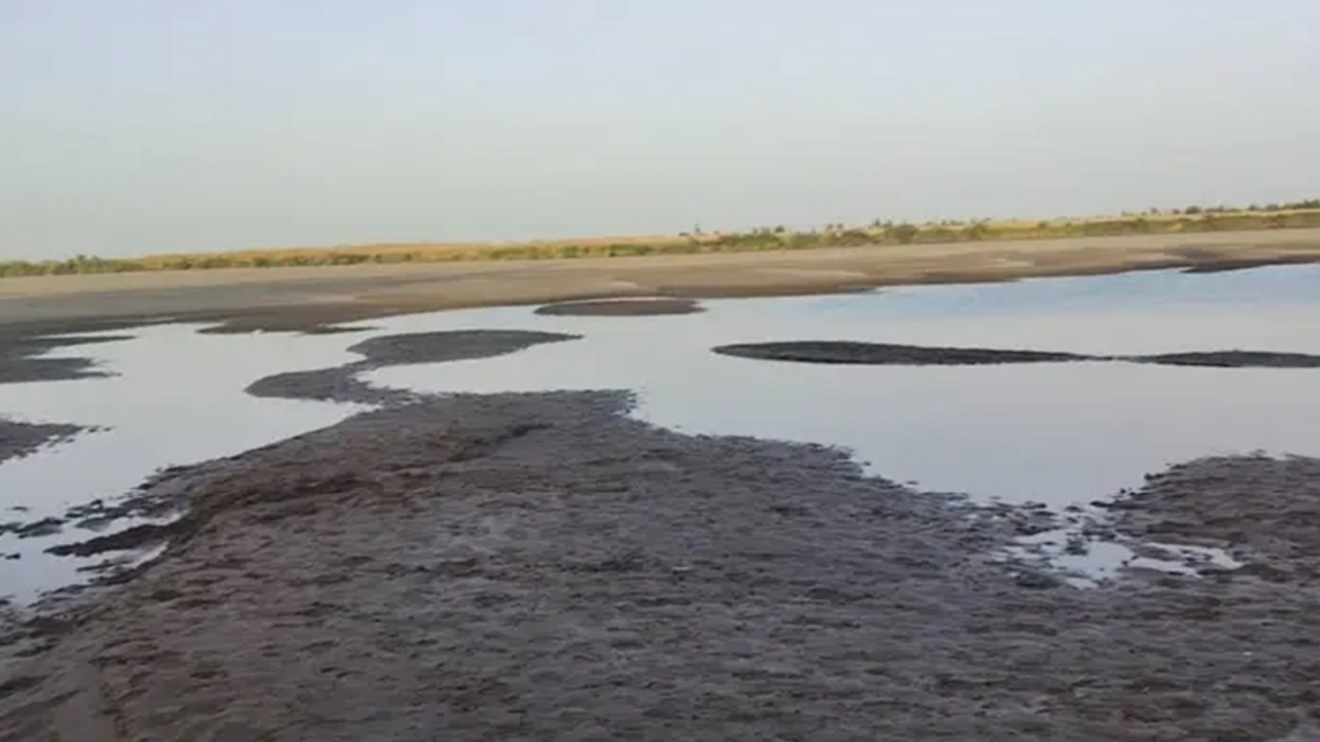 خسائر النقل النهري في السودان تسجل 250 مليون دولار بسبب الحرب