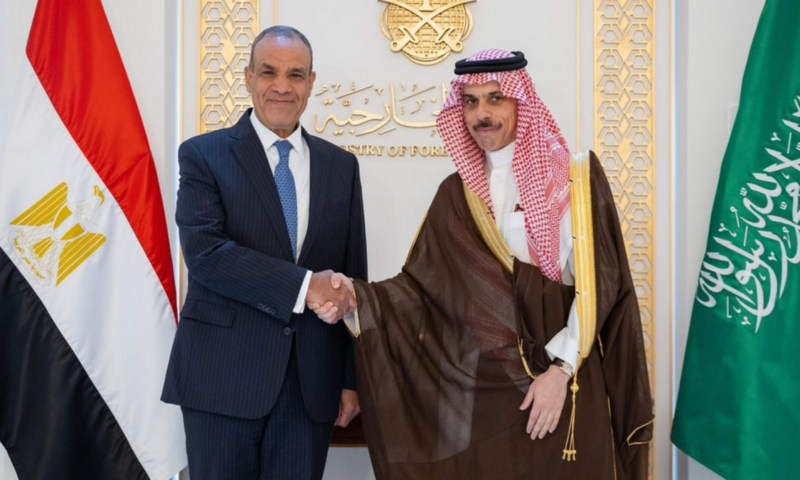السعودية ومصر تجريان مباحثاتهما بشأن أوضاع المنطقة