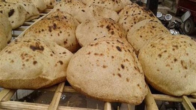 عبد الجواد: استقرار صرف الدقيق للمخابز على مستوى الجمهورية بعد تطبيق الخصم المباشر