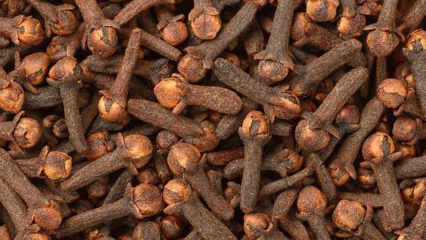 القرنفل يدعم صحة الأعصاب.. فوائد واعدة لكن ليست علاجًا