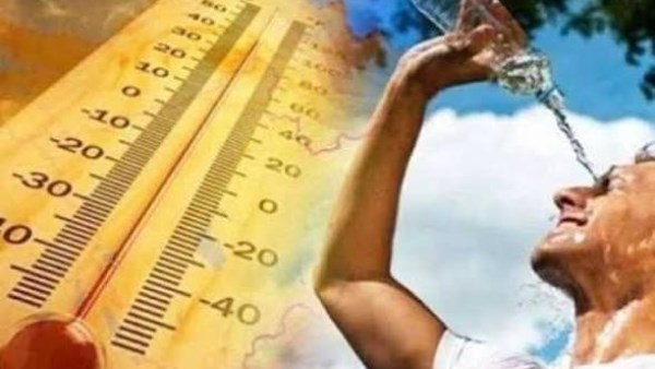نشرة المرأة والمنوعات | 5 طرق للوقاية من الرطوبة في المنزل.. هل الكبد الدهني يتحول إلى ورم.. ثمرة أفوكادو يوميا تقلل مخاطر أمراض القلب؟