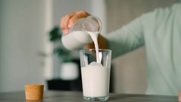 ماذا يحدث لجسمك عند تناول الحليب كامل الدسم بانتظام؟ .. فوائد وأضرار