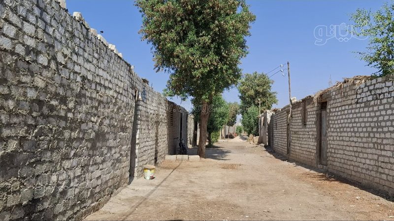 المتر بـ 8 آلاف جنيه والحسابة بتحسب، غرائب تقينين الأراضي في المنطقة الجبلية بالمعنا بقنا (فيديو)
