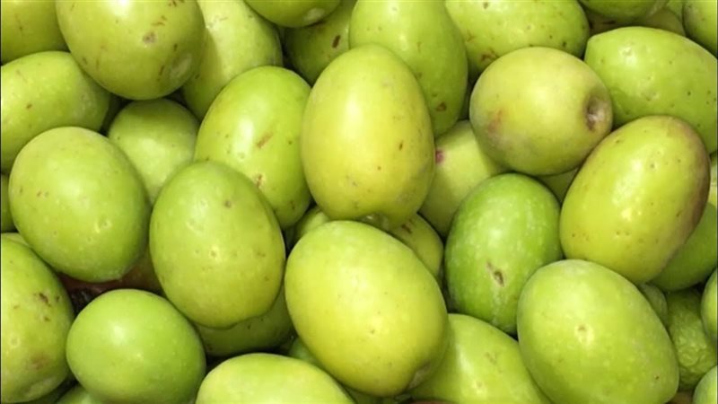 أسعار الزيتون الاخضر بالأسواق المحلية