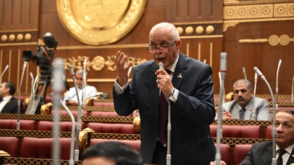 برلماني: زيارة الرئيس الصيني لمصر فرصة لإطلاق مرحلة جديدة في العلاقات بين البلدين
