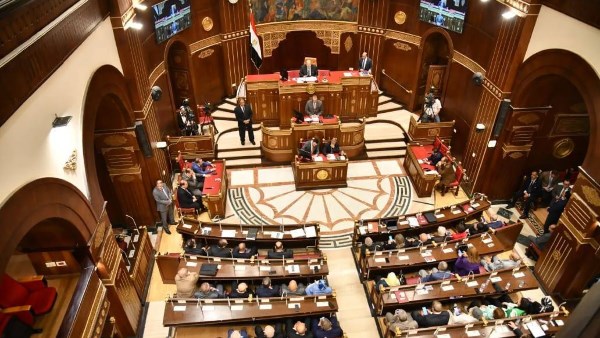 مقترح برلماني لتقليل فاتورة الاستيراد الصناعي بتوطين الصناعات المغذية