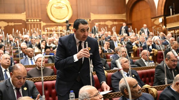 برلماني: اجتماع القاهرة المرتقب يؤكد أن مصر تقود المسار السياسي لإنهاء الحرب في غزة