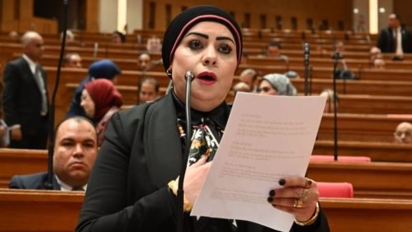جيهان شاهين: الرئيس يضع الشباب في قلب معادلة بناء الدولة.. ومنصة الأفكار بداية لمسار جديد