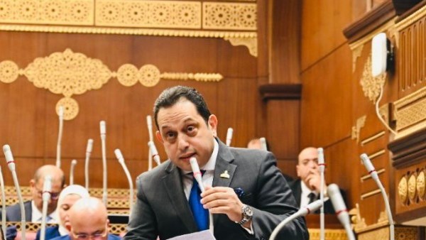 برلماني: “جوليوس نيريري” بصمة مصرية تاريخية لتعزيز التنمية في القارة السمراء