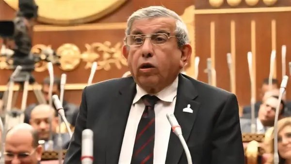 برلماني لـ صدى البلد: المنصة الوطنية للشباب يجب أن تتحول من استقبال الأفكار إلى تنفيذها