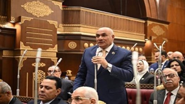 السلام والاستثمار.. برلماني: مصر وقطر تعززان الشراكة وتدعمان استقرار المنطقة