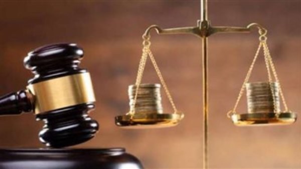 مشروع قانون الأسرة الجديد.. تفاصيل الرؤية والاستضافة وضوابط التواصل مع الأطفال