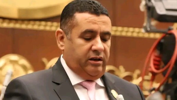 برلماني: نجاح مصر في قيادة جهود التهدئة بغزة يجسد مكانتها الإقليمية والدولية
