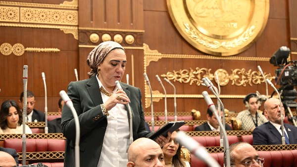 برلمانية: تسجيل خطوط المحمول باسم المواطنين دون علمهم غير مقبول