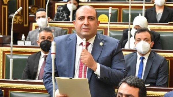 تحرك برلماني لتوطين التقاوي المصرية وتعزيز الأمن الغذائي والأسواق الأفريقية