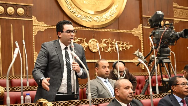 برلماني: سد «جوليوس نيريري».. إنجاز مصري يعكس قوة الدولة