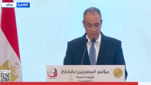 الخارجية: إطلاق منصة لتدريس المناهج المصرية بالعربية للمصريين بالخارج العام الدراسي المقبل