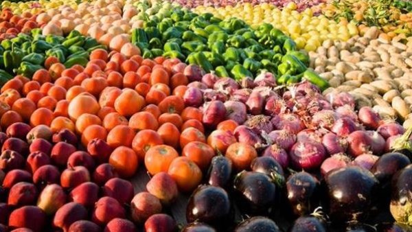 برلمانية: فتح أسواق جديدة للمنتجات المصرية يؤكد نجاح إستراتيجية الدولة لتعزيز الأمن الغذائي