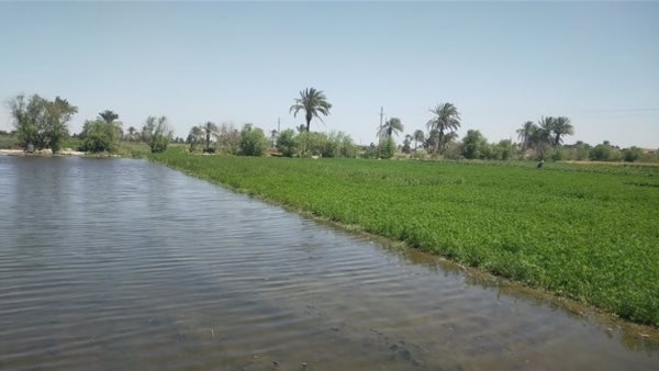 204.3 ألف فدان تكشف حجم التوسع الزراعي.. قفزة جديدة في استصلاح الأراضي بمصر