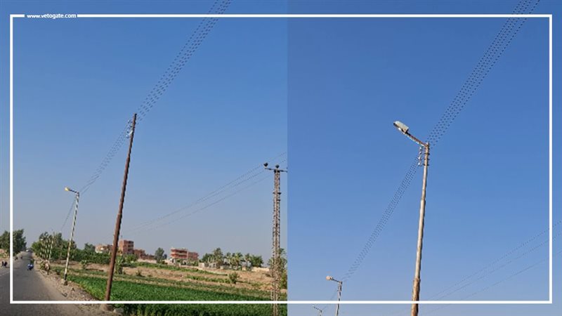 ما تتعجبش، إضاءة أعمدة الإنارة على الطريق الزراعي بقنا نهارا وإطفاؤها ليلا (فيديو)