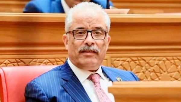 برلماني: توجيهات الرئيس السيسي بتطوير النقل واللوجستيات تدعم مكانة مصر كمركز إقليمي للتجارة