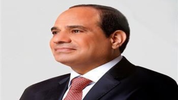 برلماني: الرئيس السيسي يقود جهودًا تاريخية لترسيخ الاستقرار الإقليمي