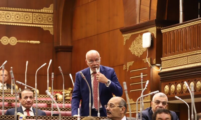 الجندي: كلمة الرئيس السيسي تضع حقوق المواطن في صدارة أولويات الدولة